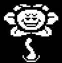 13 KB