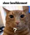 14 KB