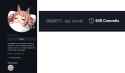 166 KB