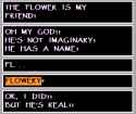 5 KB