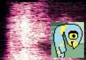 989 KB
