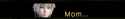 117 KB