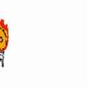 257 KB