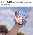317 KB