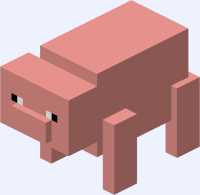 22 KB