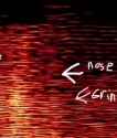 22 KB