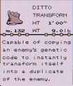 109 KB