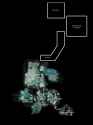 157 KB