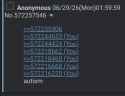 231 KB