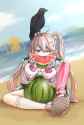 2.49 MB