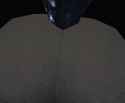 1.5 MB