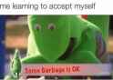 113 KB
