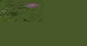 2.12 MB