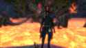 2.8 MB