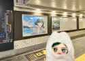 544 KB