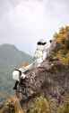 731 KB