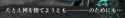 119 KB
