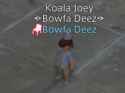 109 KB