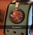 79 KB