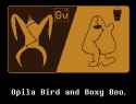 234 KB