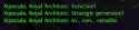 17 KB