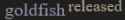 2 KB