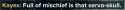 17 KB