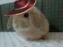 1.75 MB