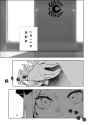 164 KB