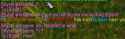 19 KB