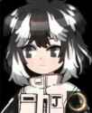 217 KB