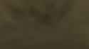 2.91 MB