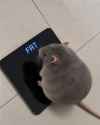 109 KB