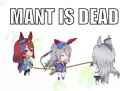 498 KB