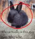 924 KB