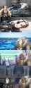 1.82 MB