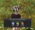 1.72 MB