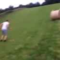 290 KB