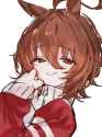 493 KB