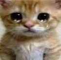 62 KB
