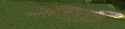1.42 MB