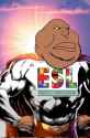 86 KB