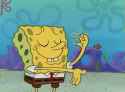 1004 KB