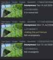 123 KB