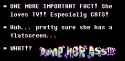 19 KB