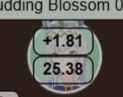 14 KB