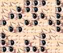 110 KB