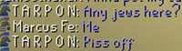 501 KB