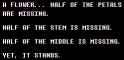 6 KB