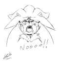 40 KB